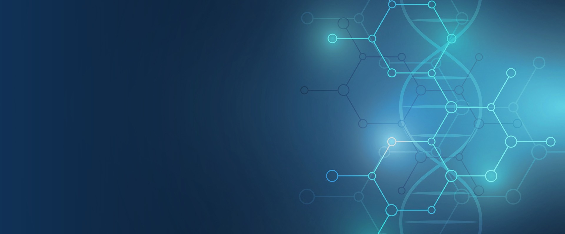 Header - Services